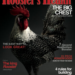 Rooster's Healt