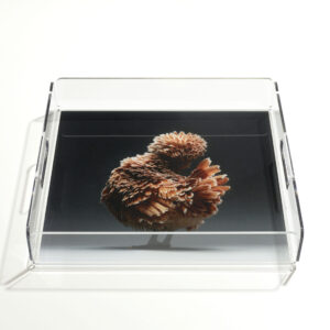 Plexiglass Tray